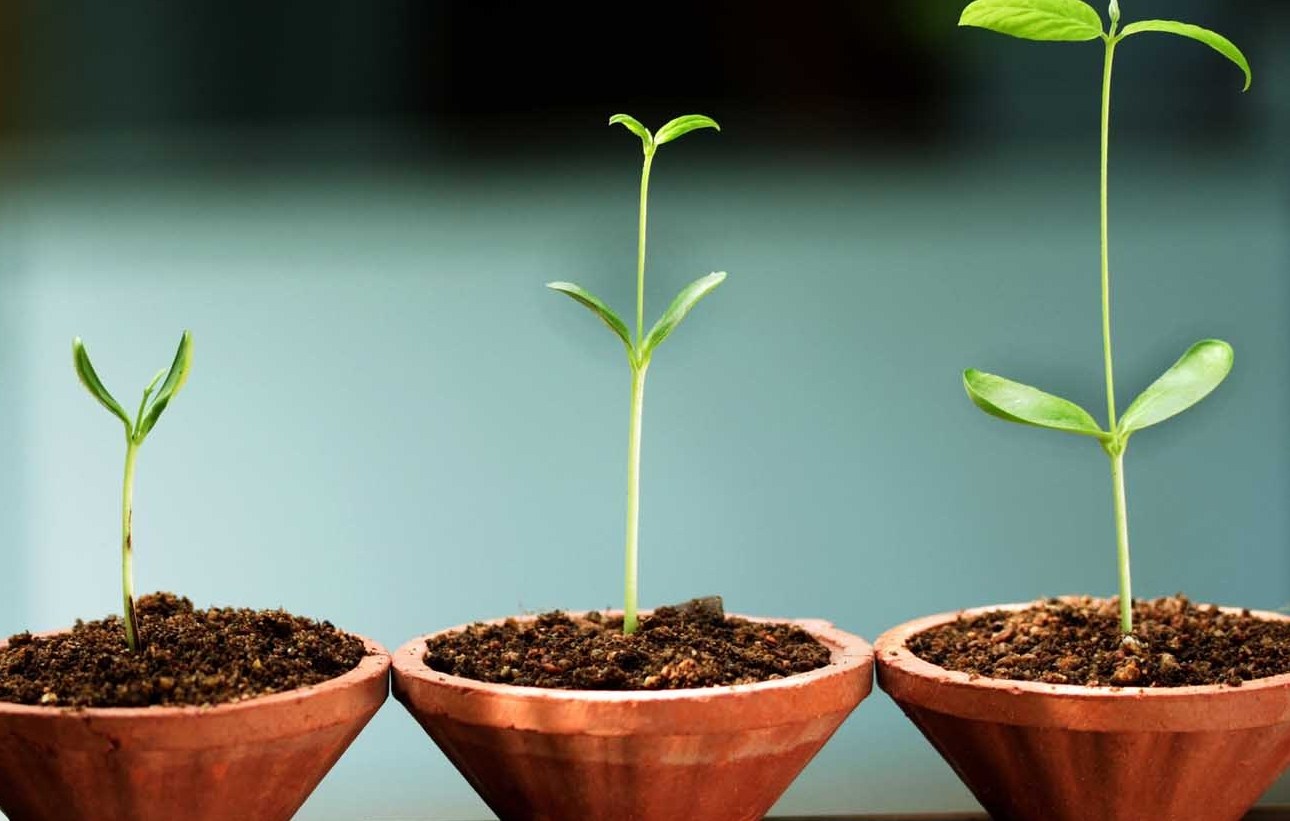 Reasons Why Startups Should Embrace New Technology