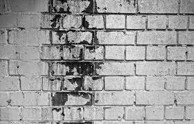mold in wall