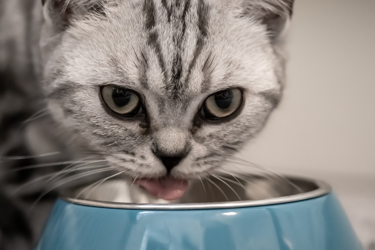 eating
